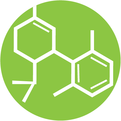 Buy Weed Online, BuyWeed247