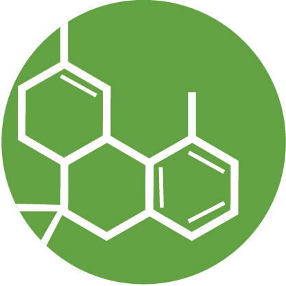 Buy Weed Online, BuyWeed247
